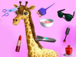 Animal Model Hair Salon